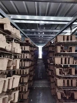 L'emballage en pâte moulée se généralise : solution durable et rentable-pour ...