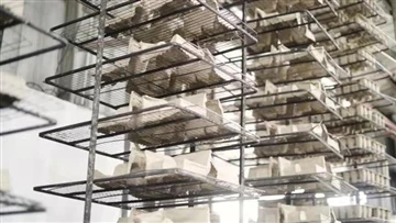 Fabrication de pâte moulée : une industrie en croissance avec des avantages e...